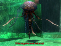 Wiedergeborener Irukandji.jpg