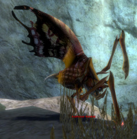 Aasfresser Renshek.jpg