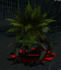 Brennender Busch.jpg