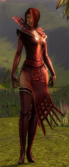 Livia Bruderschafts-Rüstung vorne.jpg