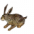 Brauner Hase icon.png