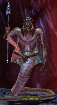 Hohepriester Zhellix.jpg