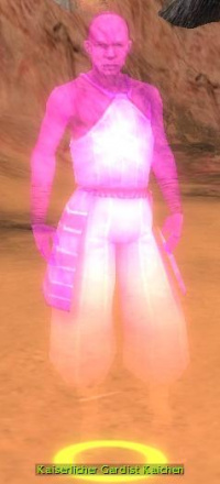 Kaiserlicher Gardist Kaichen.jpg