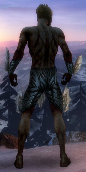 Datei:Nekromant Altehrwürdige Rüstung Männlich hand bein hinten.jpg