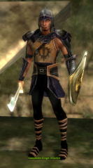 Glänzende Klinge-Wächter (Krieger).jpg