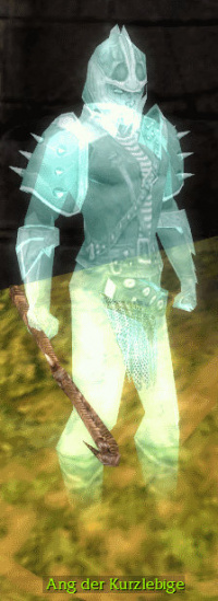 Ang der Kurzlebige.jpg