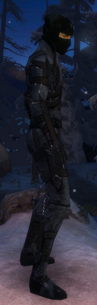 Datei:Assassine Obsidian-Rüstung Männlich seite.jpg