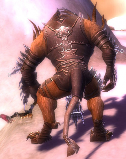 Brandor Grimmflamm Deldrimor-Rüstung hinten.jpg