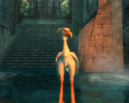 Benutzer-Hallagar-Weißer Moa.jpg