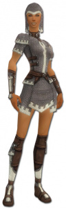 Krieger Tyria-Rüstung Weiblich vorne.jpg