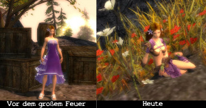 Benutzer StephanBaruch Lilien Crusoe2.jpg