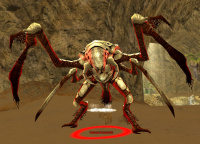 Joknang Erdwender.jpg