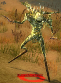 Toshau Scharfspeer.jpg