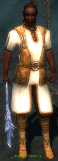 Bergmann Tonabanza.jpg