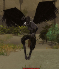 Älterer Skree-Fährtensucher.jpg