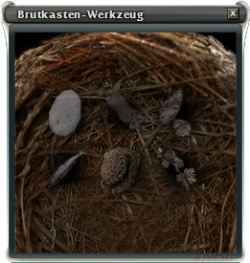 Brutkasten-Werkzeug leer.jpg