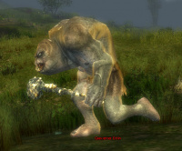 Gravierter Ettin.jpg