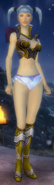 Datei:Elementarmagier Deldrimor-Rüstung Weiblich brust schuh vorne.jpg