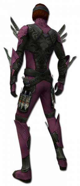 Datei:Assassine Kaiser-Rüstung Männlich hinten.jpg