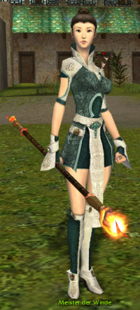 Meister der Winde.jpg