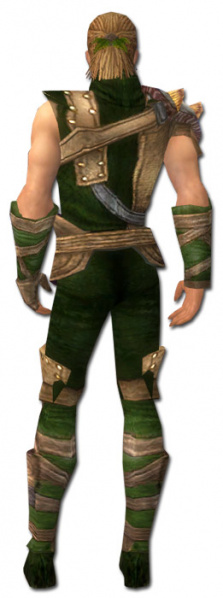 Datei:Waldläufer Tyria-Rüstung Männlich hinten.jpg