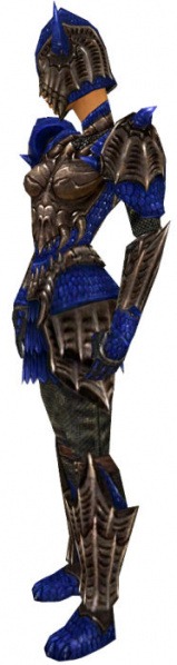 Datei:Krieger Elite-Drachenrüstung Weiblich seite.jpg