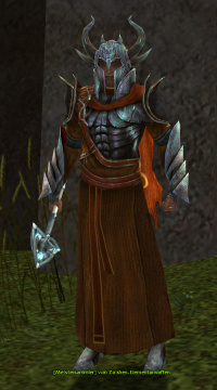 Meistersammler von Zaishen-Elementarwaffen.jpg