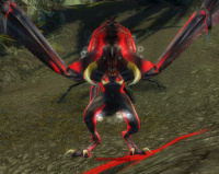 Rahse Windfänger.jpg