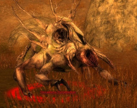 Verzauberte Dornenranken.jpg