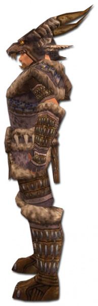Datei:Krieger Charr-Fell-Rüstung Männlich seite.jpg
