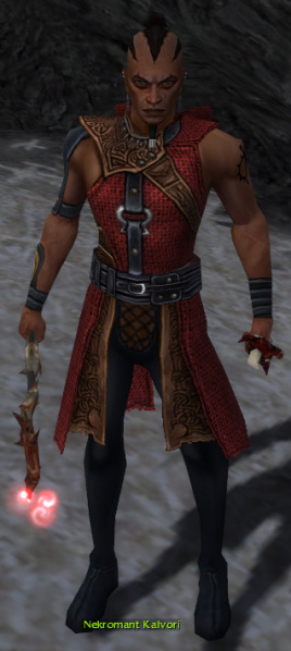 Datei:Nekromant Kalvori.jpg