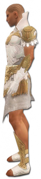 Datei:Paragon Elona-Rüstung Männlich seite.jpg
