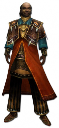 Dunkoro Sonnenspeer-Rüstung vorne.jpg