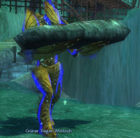 Grüner Träger-Moloch.jpg