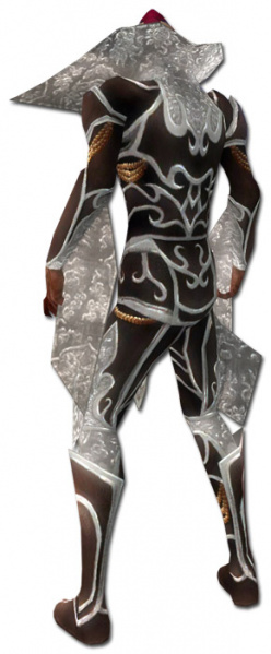 Datei:Nekromant Vaabi-Rüstung Männlich hinten.jpg