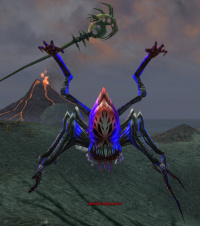 Spindle Agonyvein.jpg