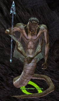 Kommandeur Thurnis.jpg