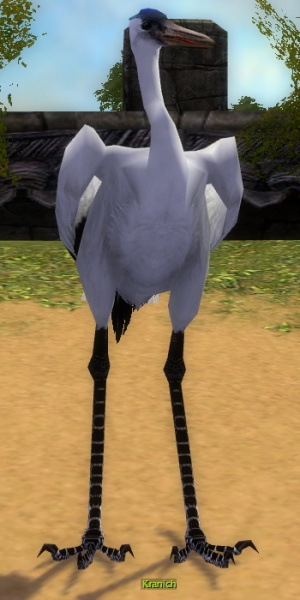 Datei:Kranich (Sammler).jpg