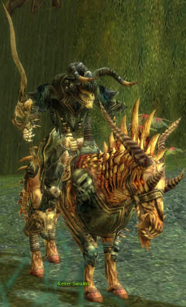 Datei:Reiter Saralim.jpg