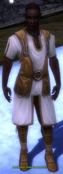 Datei:Nekromant Dunbari.jpg