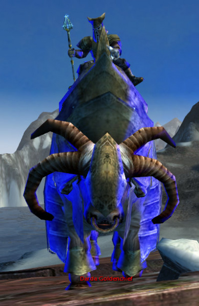 Datei:Darda Goldenchief.jpg