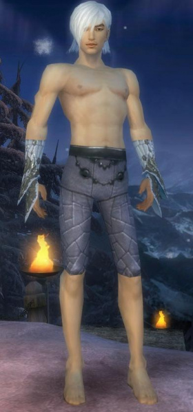 Datei:Elementarmagier Elite-Eisgeschmiedete-Rüstung Männlich hand bein vorne.jpg