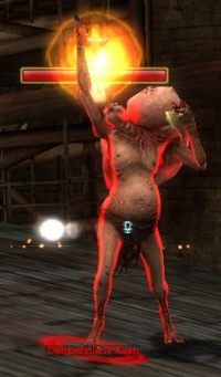 Der befallene Kam.jpg