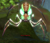 Martus Plagueweb.jpg