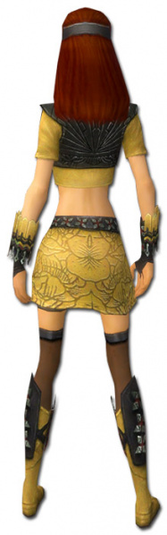 Datei:Assassine Cantha-Rüstung Weiblich hinten.jpg