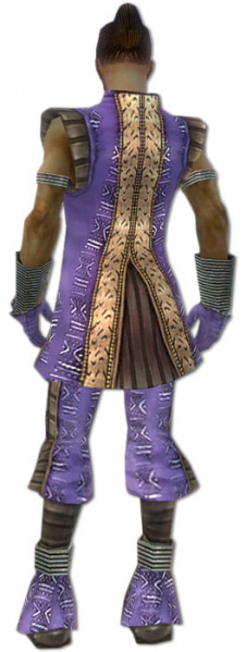 Datei:Elementarmagier Istan-Rüstung Männlich hinten.jpg