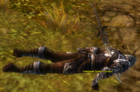 Gefallener Vorhut-Soldat.jpg