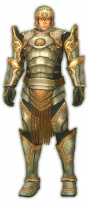 Krieger Sonnenspeer-Rüstung Männlich vorne.jpg