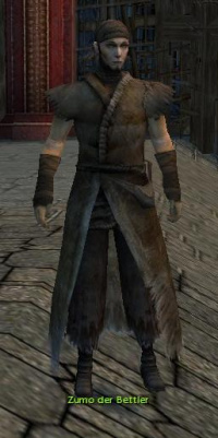 Zumo der Bettler.jpg