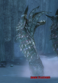 Junger Frostwurm.jpg